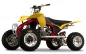 2009 Cobra ECX50 photo